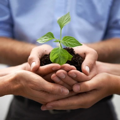 Sustainability CSR